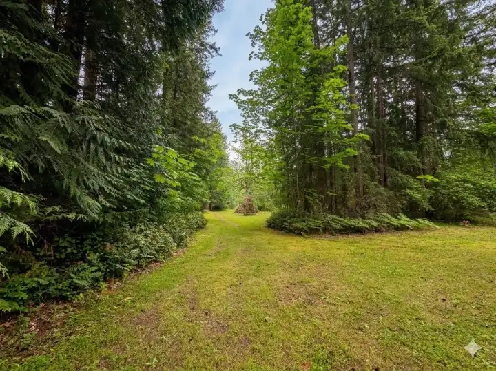 This property offers the best of both worlds, you feel like you are living in the woods and yet you have open fields sprinkled throughout.
