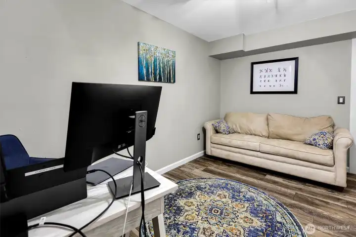 One of the two downstairs rooms with a closet.