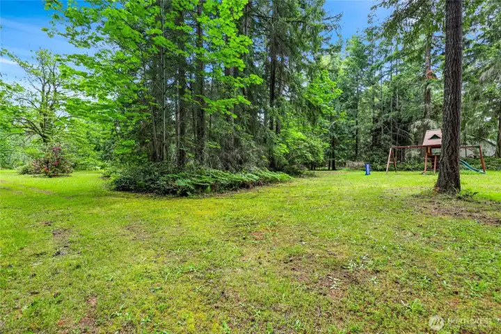 Open fields amid the tall trees throughout this 9 acres. You can clear more if you want, or keep it mixed as it is now. There are water spigots throughout the property, easy for grazing animals. Open fields amid the tall trees throughout this 9 acres. You can clear more if you want, or keep it mixed as it is now. There are water spigots throughout the property, easy for grazing animals.