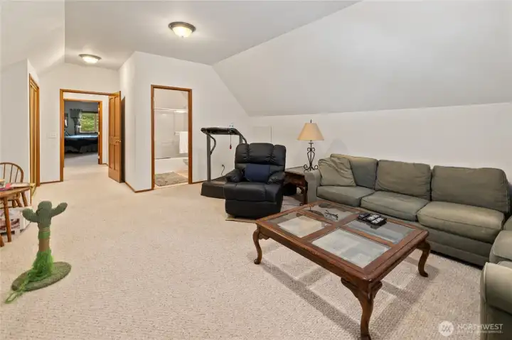 2nd upper level bonus room with attached bathroom