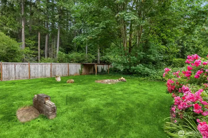 So much natural light for a vegetable garden. So much natural light for a vegetable garden.