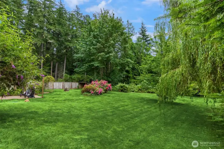 Perfect lawn for parties, soccer, frisbee! Perfect lawn for parties, soccer, frisbee!