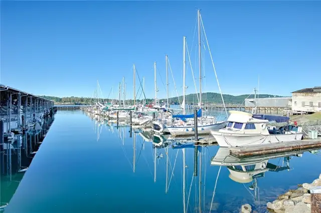 D dock fairway.