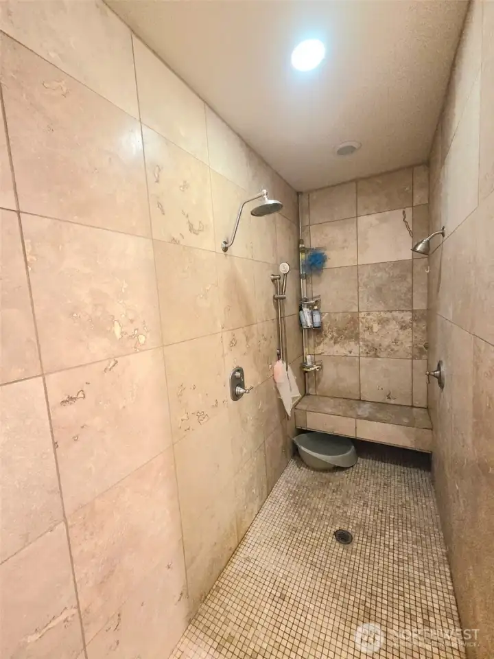 Master bedroom shower with two heads