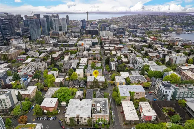 97 walk score!  Steps from Broadway, Pike/Pine, Volunteer Park, 15th and 19th retail.  Hop on lightrail in minutes!  Walk right down the hill into Downtown and South Lake Union.  EZ bus/bike to UW, SU, and beyond.
