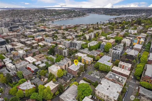 97 walk score!  Steps from Broadway, Pike/Pine, Volunteer Park, 15th and 19th retail.  Hop on lightrail in minutes!  Walk right down the hill into Downtown and South Lake Union.  EZ bus/bike to UW, SU, and beyond.