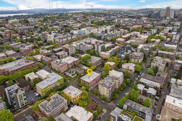 97 walk score!  Steps from Broadway, Pike/Pine, Volunteer Park, 15th and 19th retail.  Hop on lightrail in minutes!  Walk right down the hill into Downtown and South Lake Union.  EZ bus/bike to UW, SU, and beyond.