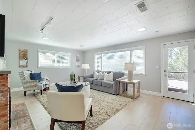 Lower level living room