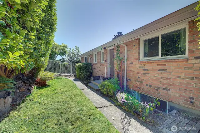Back yard