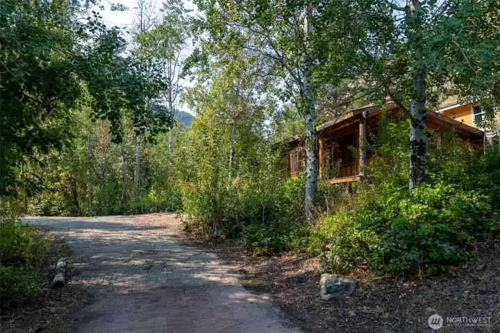 Little Cabin-lower yard