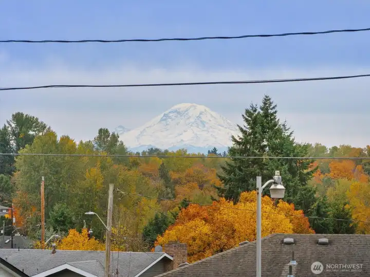 Mt Rainier taken from the dining room