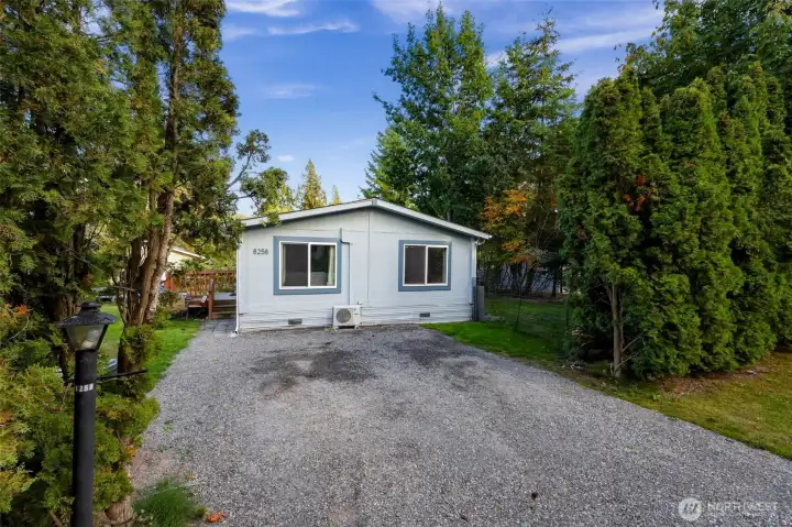 Newer Windows and Roof