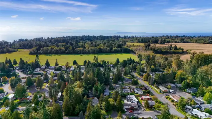 Surrounded by Nature