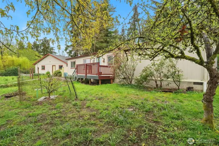 The yard has many different areas for a larger feel. The owners will miss their mature, very productive apple tree!