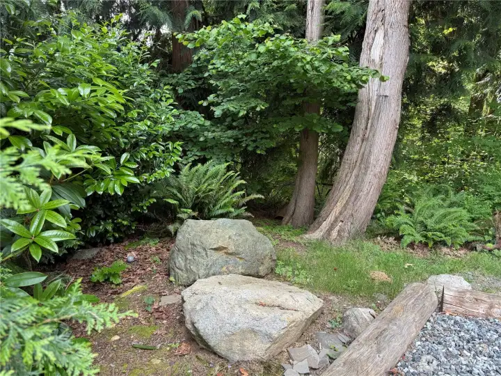 front yard
