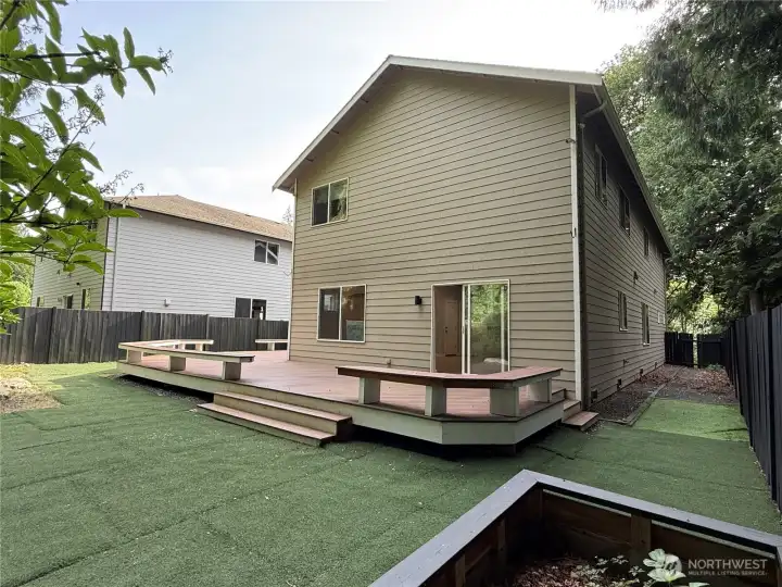 Back yard