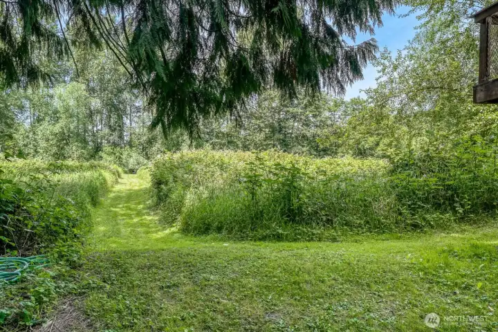 Backyard Backyard