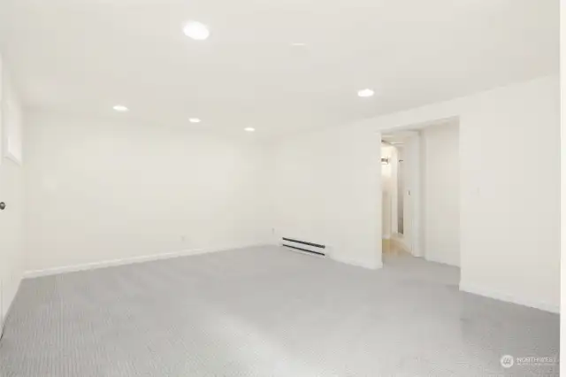 LARGE Basement Living Room