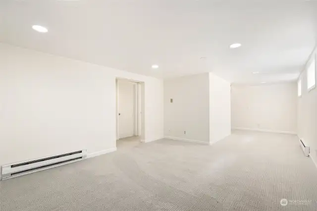 Basement Living Room