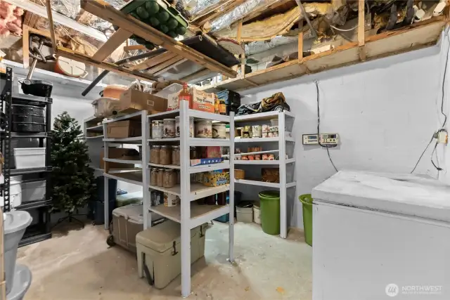 Downstair Utility/Food Storage