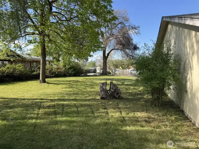 beautiful upper yard