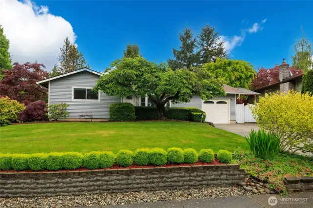 Beautifully remodeled home on a spacious corner lot across from a greenbelt teaming with wildlife!