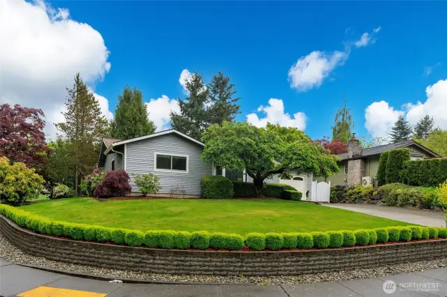 Sunny corner lot