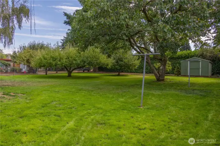 Backyard has a garden shed and large garden space