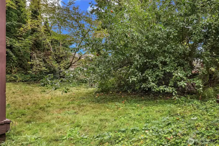 Large yard shared by the 3 units.