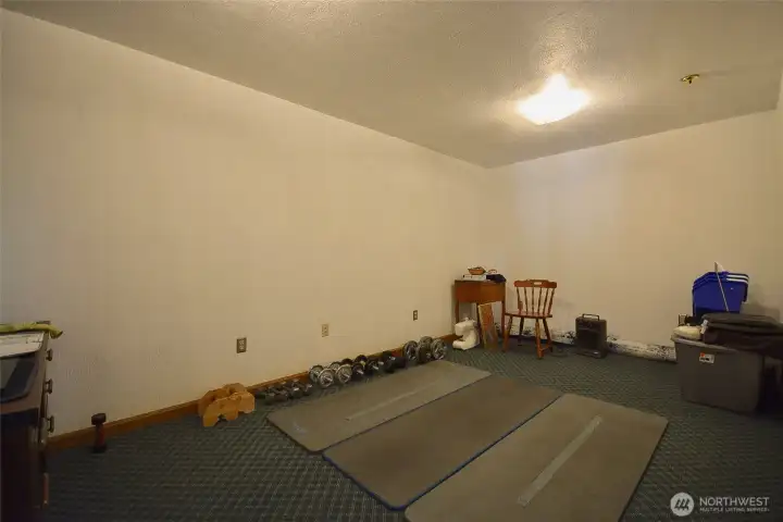 Bonus Room in Basement