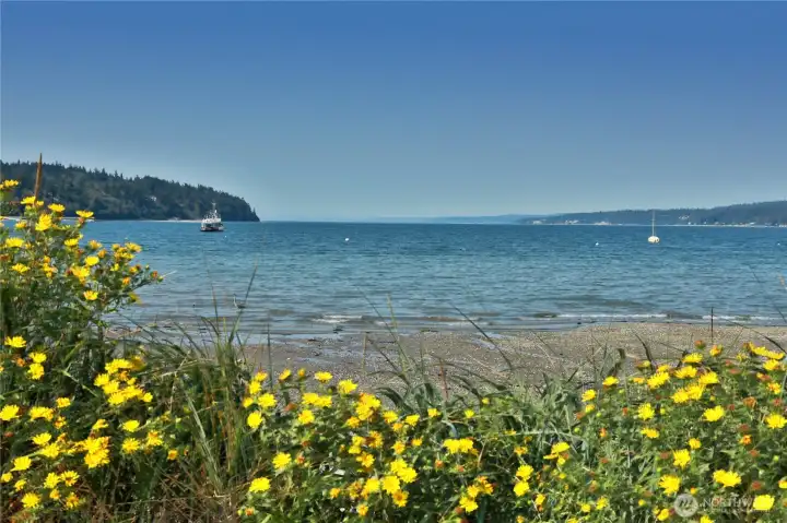 Freeland Park _ just a few minutes from the home...features areas to walk...