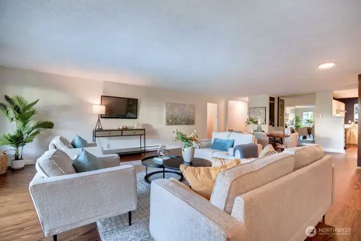 Open and spacious living area