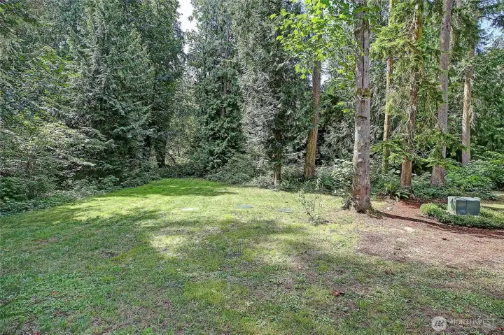 Big Cleared Yard feeds into Your Timber~