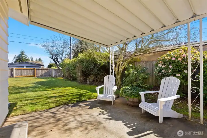 Or take in the happenings of the backyard.