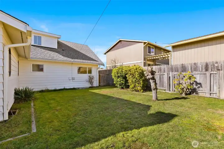 Side of the yard between the shed and the house.
