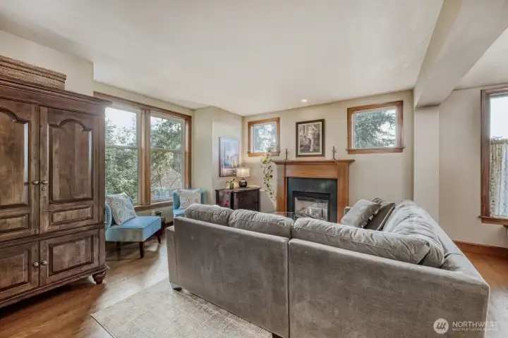 living room with gas fireplace