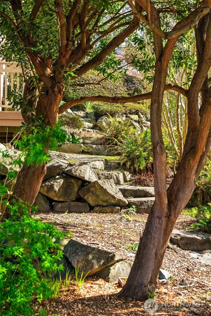 Mature native plants and trees abundant on site