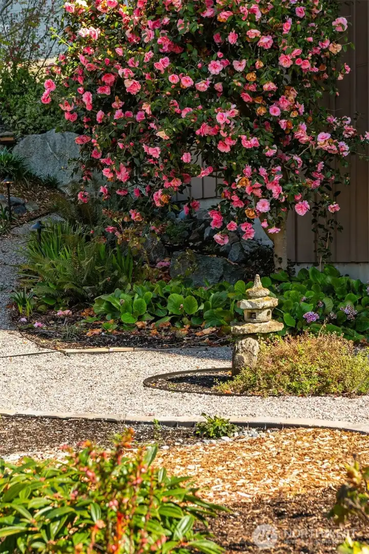 Zen garden for serenity