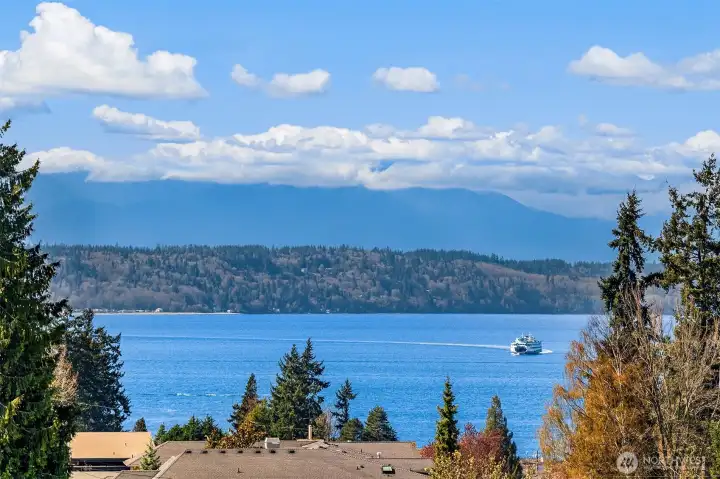 View from rooftop deck