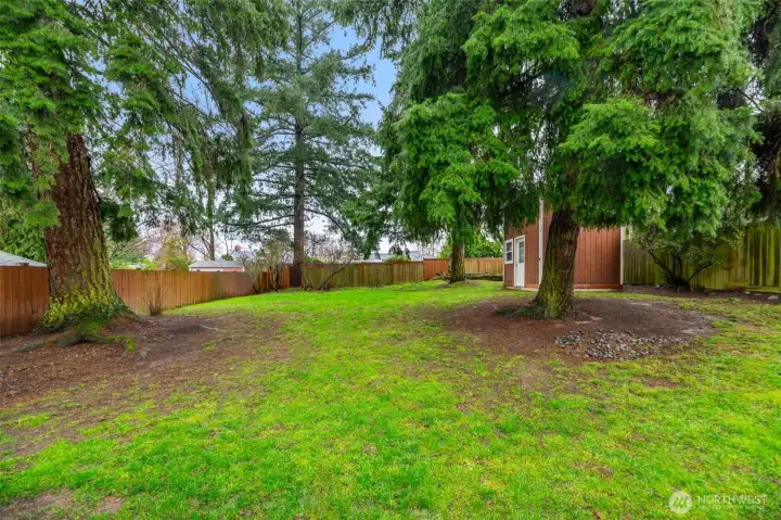Large backyard offering plenty of room to enjoy outdoor living.