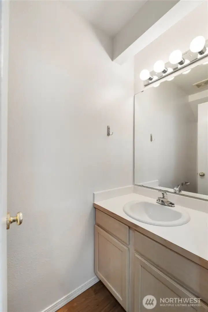 Downstairs bathroom. Toilet on left side.