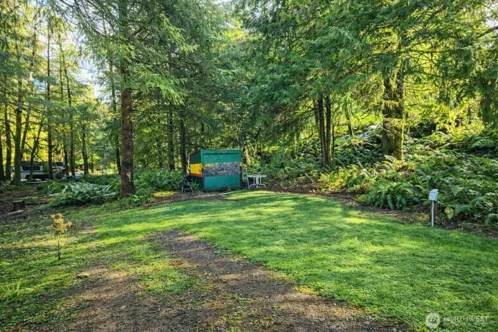 Cleared and usable outdoor space with lush greenery, ideal for relaxing, entertaining, or setting up camp.