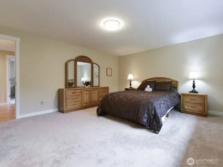 Spacious primary bedroom ensuite, faces back of house, overlooking lawn and views into woods behind.