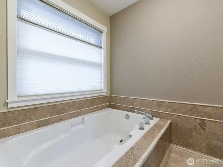 Soaking tub in primary bathroom, overlooks VERY private view of backyard.
