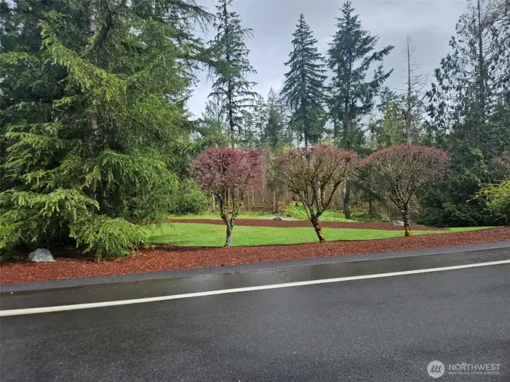 Absolutely lovely yard!  Parklike and perfect!