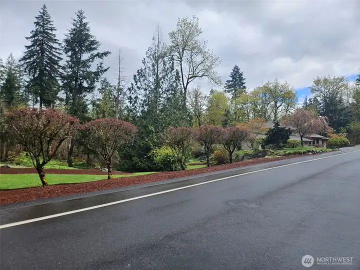 Huge side yard, so many possibilities.