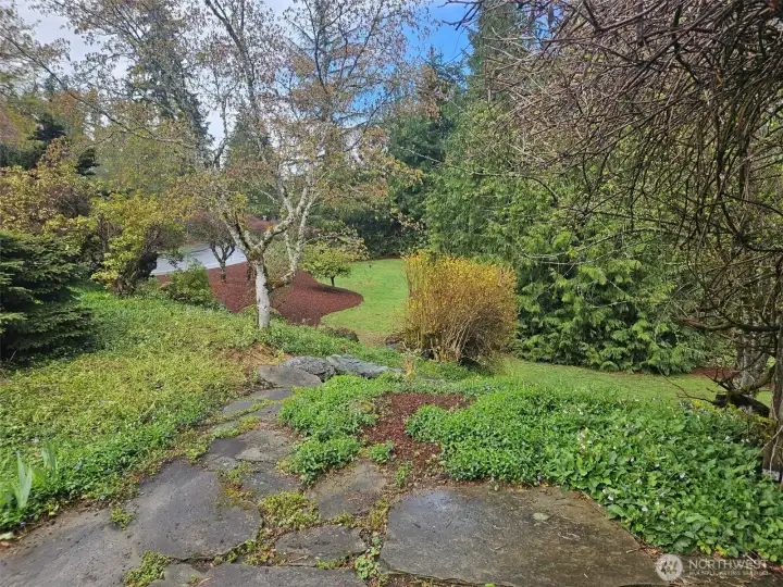 So many options for this yard!