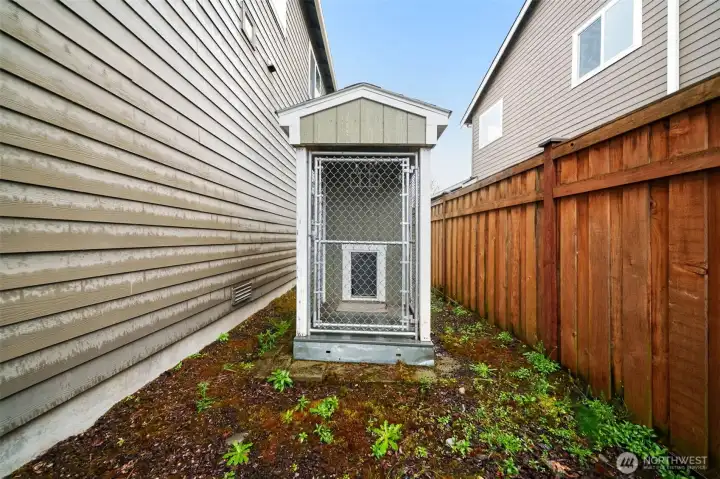 Professional level dog run/ dog house