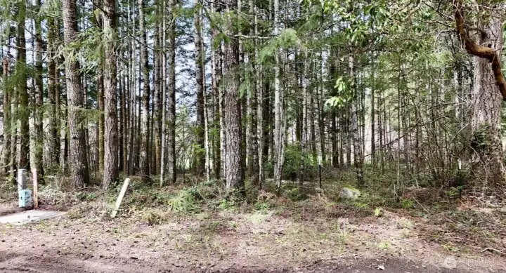 Welcome to 361 Ryan Rd