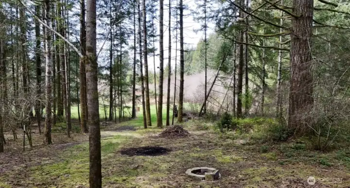 Towards the front of the property line near Ryan Road.